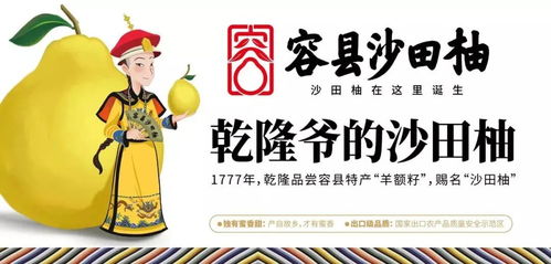 夢回唐朝楊貴妃，沙田有柚震乾隆——廣西旅游年卡與旅發旅行社集團攜手共譜文化之旅