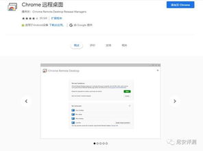 免費電腦遠程軟件哪家強？長期使用者親身評測與軟件行業(yè)洞察